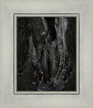 Load image into Gallery viewer, At Rock Bottom