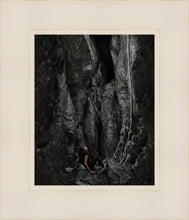 Load image into Gallery viewer, At Rock Bottom