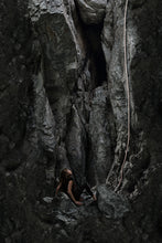Load image into Gallery viewer, At Rock Bottom