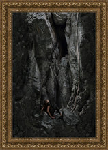 Load image into Gallery viewer, At Rock Bottom