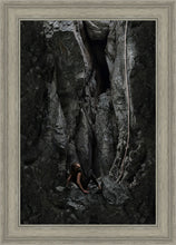 Load image into Gallery viewer, At Rock Bottom
