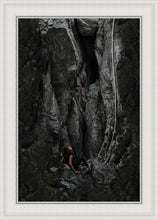 Load image into Gallery viewer, At Rock Bottom