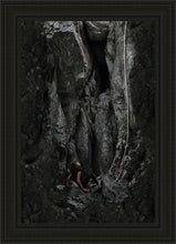 Load image into Gallery viewer, At Rock Bottom