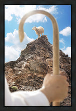 Load image into Gallery viewer, Encircled About