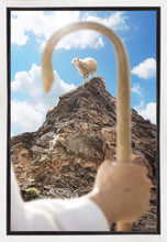 Load image into Gallery viewer, Encircled About