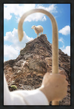 Load image into Gallery viewer, Encircled About