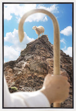 Load image into Gallery viewer, Encircled About