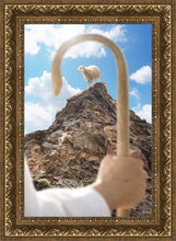 Load image into Gallery viewer, Encircled About