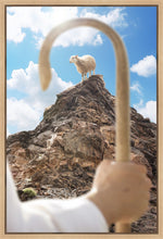 Load image into Gallery viewer, Encircled About