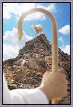 Load image into Gallery viewer, Encircled About