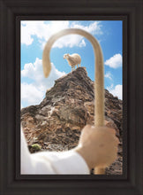 Load image into Gallery viewer, Encircled About
