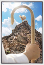Load image into Gallery viewer, Encircled About
