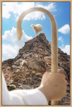 Load image into Gallery viewer, Encircled About