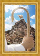 Load image into Gallery viewer, Encircled About