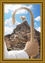 Load image into Gallery viewer, Encircled About