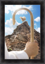 Load image into Gallery viewer, Encircled About
