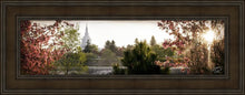 Load image into Gallery viewer, Idaho Falls II, The Day Dawn Is Breaking