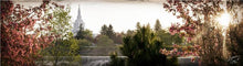 Load image into Gallery viewer, Idaho Falls II, The Day Dawn Is Breaking