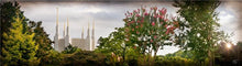Load image into Gallery viewer, Washington DC, The Day Dawn Is Breaking