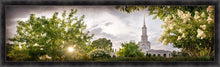Load image into Gallery viewer, Sacramento, The Day Dawn Is Breaking