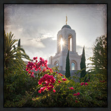Load image into Gallery viewer, Newport Beach Brightness and Glory