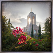 Load image into Gallery viewer, Newport Beach Brightness and Glory