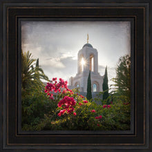 Load image into Gallery viewer, Newport Beach Brightness and Glory