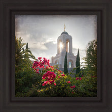 Load image into Gallery viewer, Newport Beach Brightness and Glory