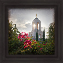 Load image into Gallery viewer, Newport Beach Brightness and Glory