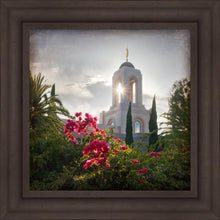 Load image into Gallery viewer, Newport Beach Brightness and Glory