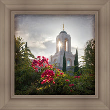Load image into Gallery viewer, Newport Beach Brightness and Glory