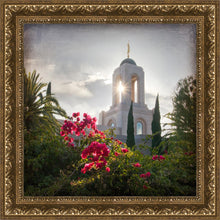Load image into Gallery viewer, Newport Beach Brightness and Glory