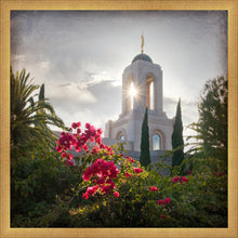 Load image into Gallery viewer, Newport Beach Brightness and Glory