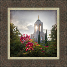 Load image into Gallery viewer, Newport Beach Brightness and Glory