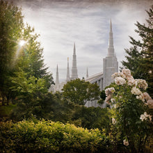 Load image into Gallery viewer, Portland Brightness and Glory