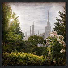 Load image into Gallery viewer, Portland Brightness and Glory