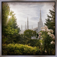 Load image into Gallery viewer, Portland Brightness and Glory