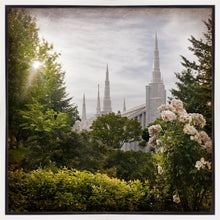 Load image into Gallery viewer, Portland Brightness and Glory