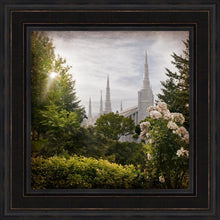 Load image into Gallery viewer, Portland Brightness and Glory