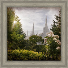 Load image into Gallery viewer, Portland Brightness and Glory