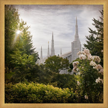 Load image into Gallery viewer, Portland Brightness and Glory