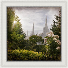 Load image into Gallery viewer, Portland Brightness and Glory