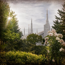 Load image into Gallery viewer, Portland Brightness and Glory