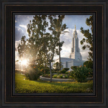 Load image into Gallery viewer, Redlands Brightness and Glory