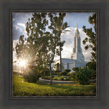 Load image into Gallery viewer, Redlands Brightness and Glory
