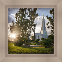 Load image into Gallery viewer, Redlands Brightness and Glory