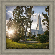 Load image into Gallery viewer, Redlands Brightness and Glory