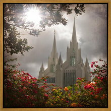 Load image into Gallery viewer, San Diego Brightness and Glory