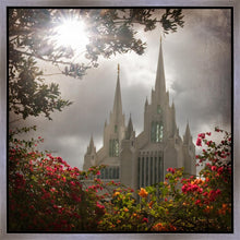 Load image into Gallery viewer, San Diego Brightness and Glory