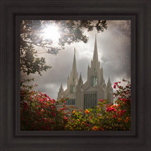 Load image into Gallery viewer, San Diego Brightness and Glory